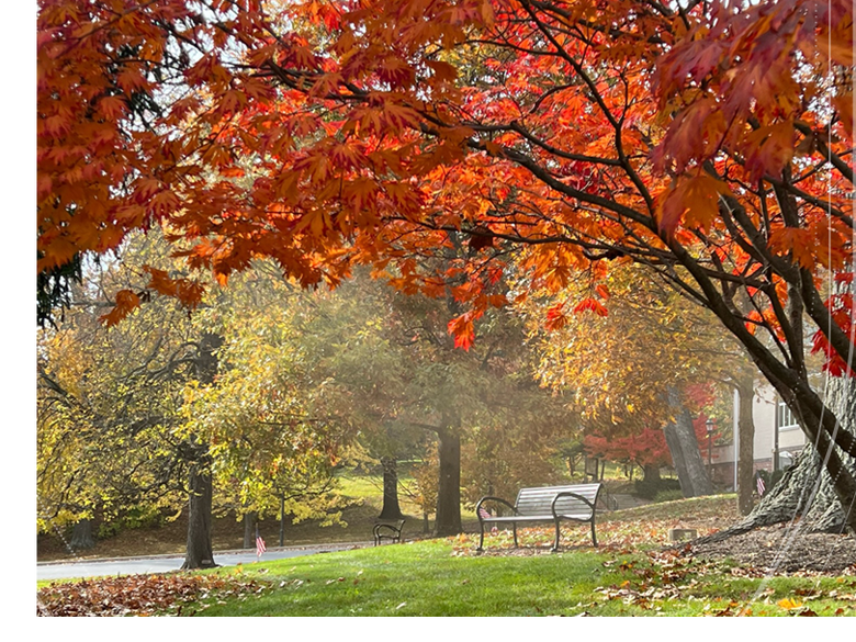 photo of bench in front of Wiestling in the fall 